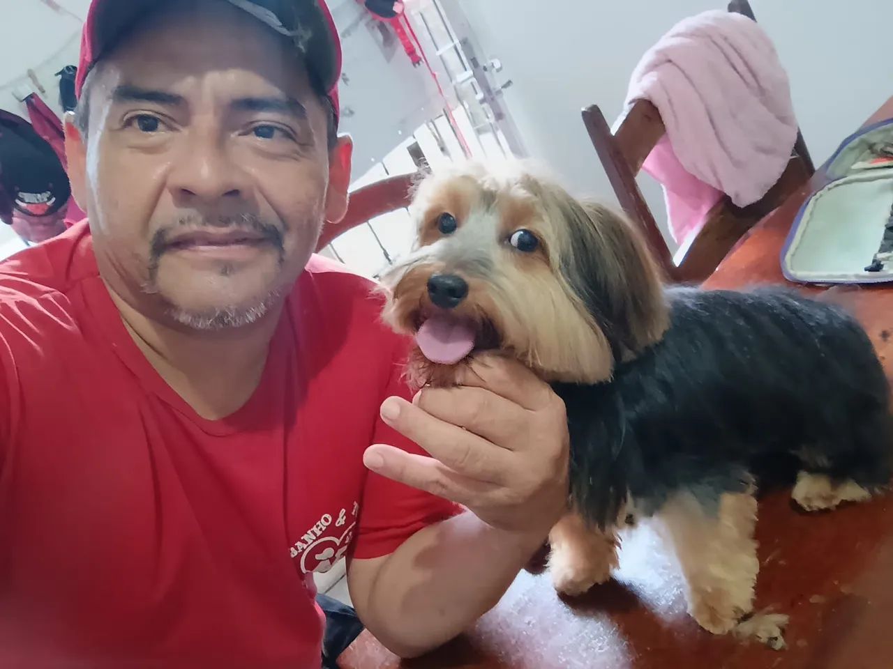 Serviço de banho e tosa  - Foto 4