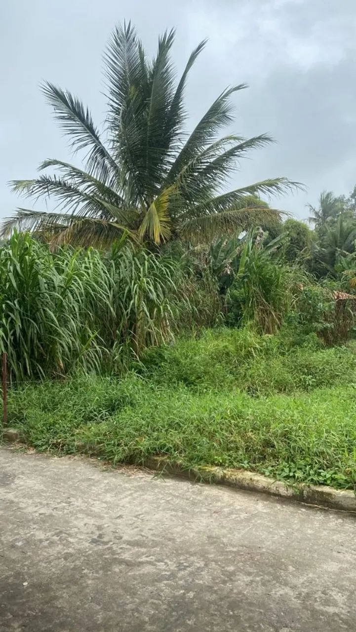 Terreno em Aquidabã  - Foto 4