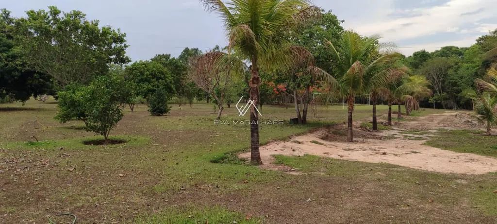 Chácara à venda em Cezarina, Setor Central, com 3 quartos, com 48400 m² - Foto 5