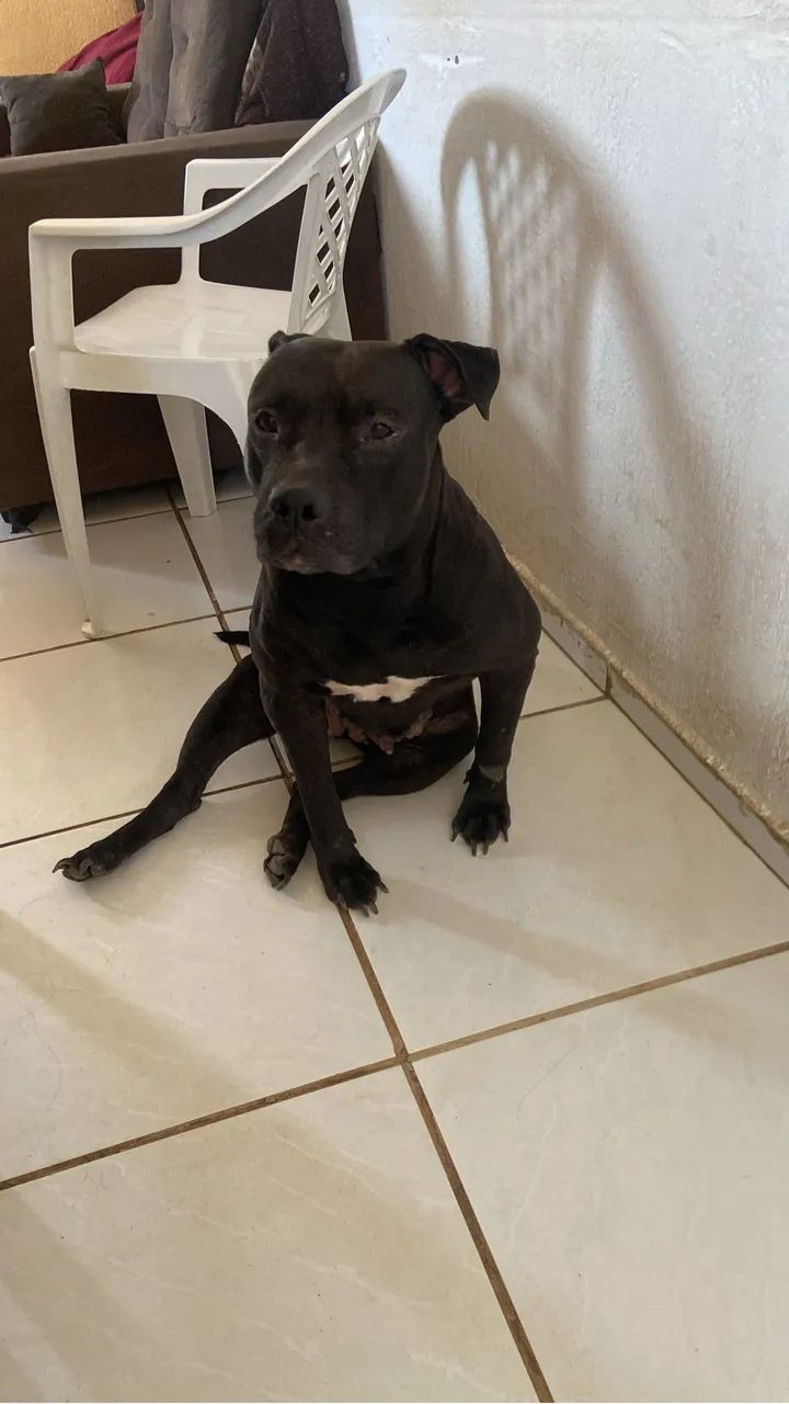 Doação  - Foto 2