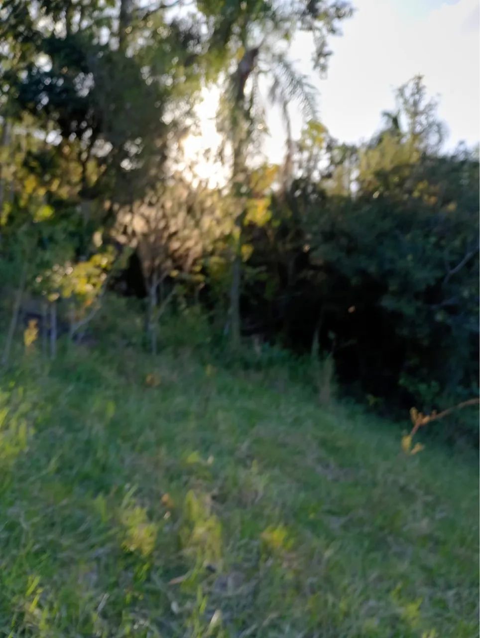 TERRENO 336m² À VENDA EM IMARUÍ/SC - BAIRRO NAZARÉ - Foto 3