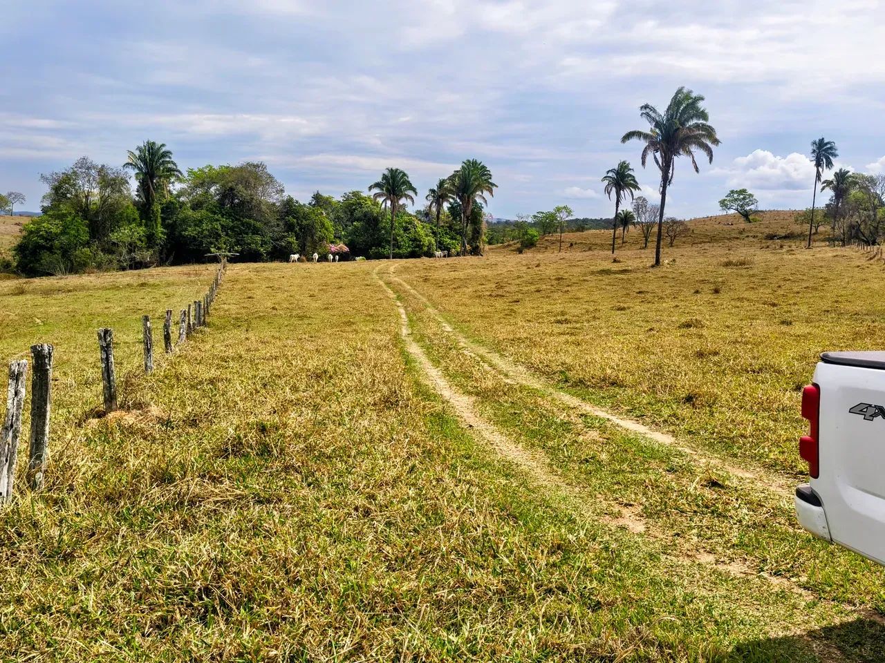 Fazenda Dupla Aptidão - 180 Alqueires! - Foto 2