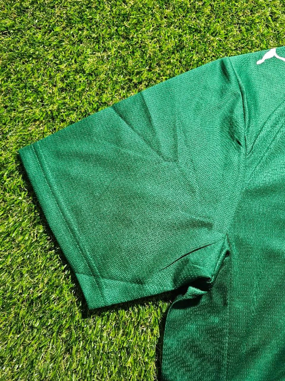 Camisa Palmeiras 2026/27 | Versão Torcedor  - Foto 5