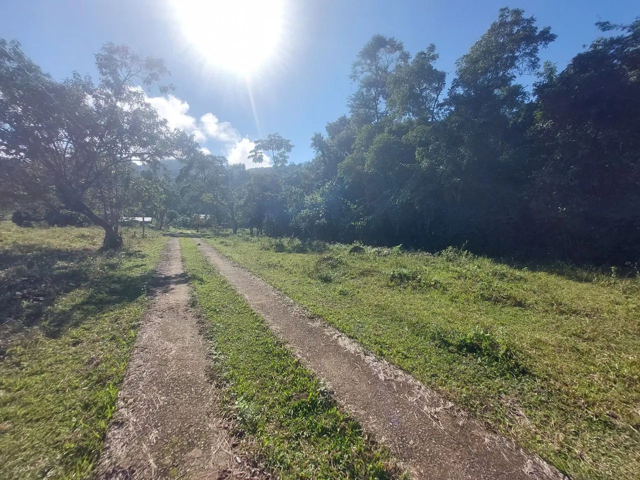 Sítio com muita água - Foto 3