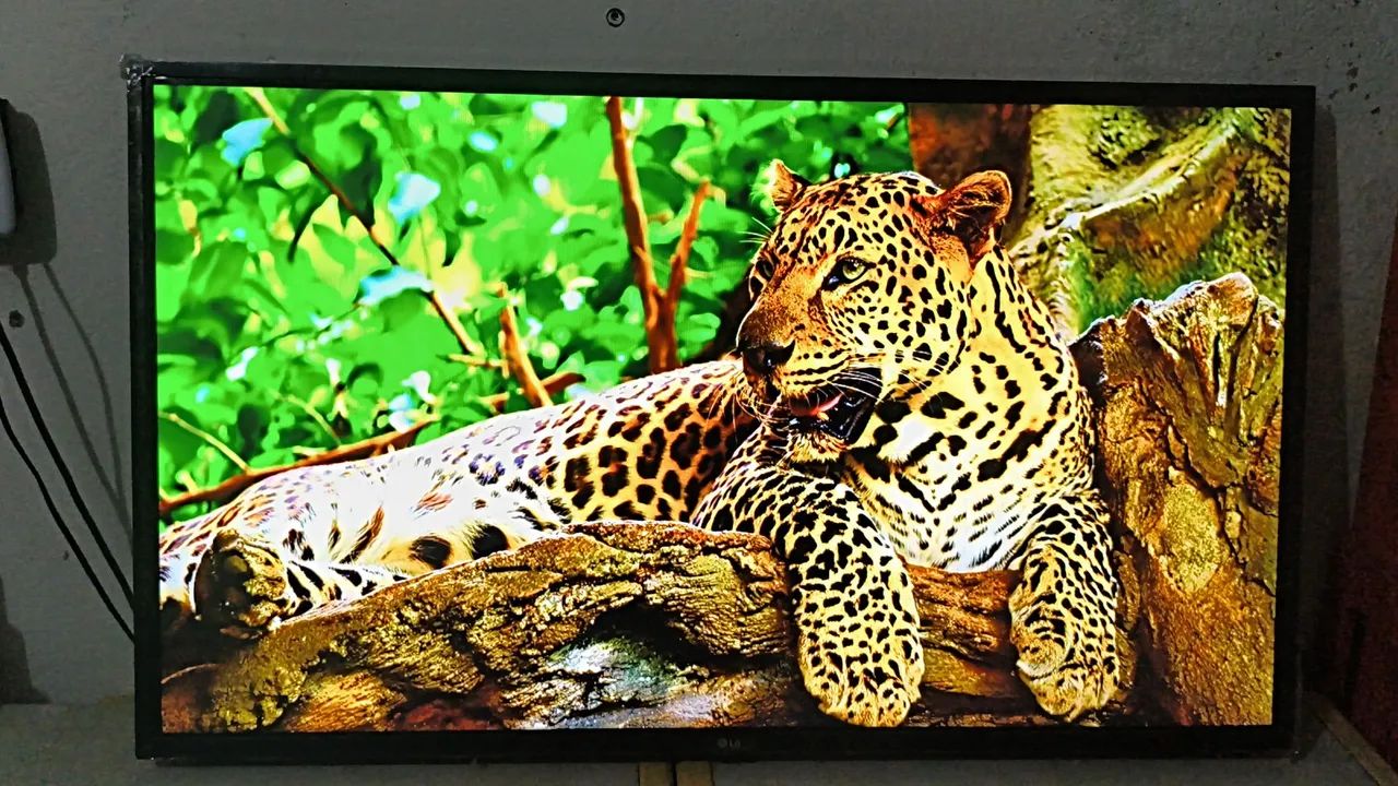 Tv Smart LG 43 Polegadas Completa Top de Verdade! - Foto 5