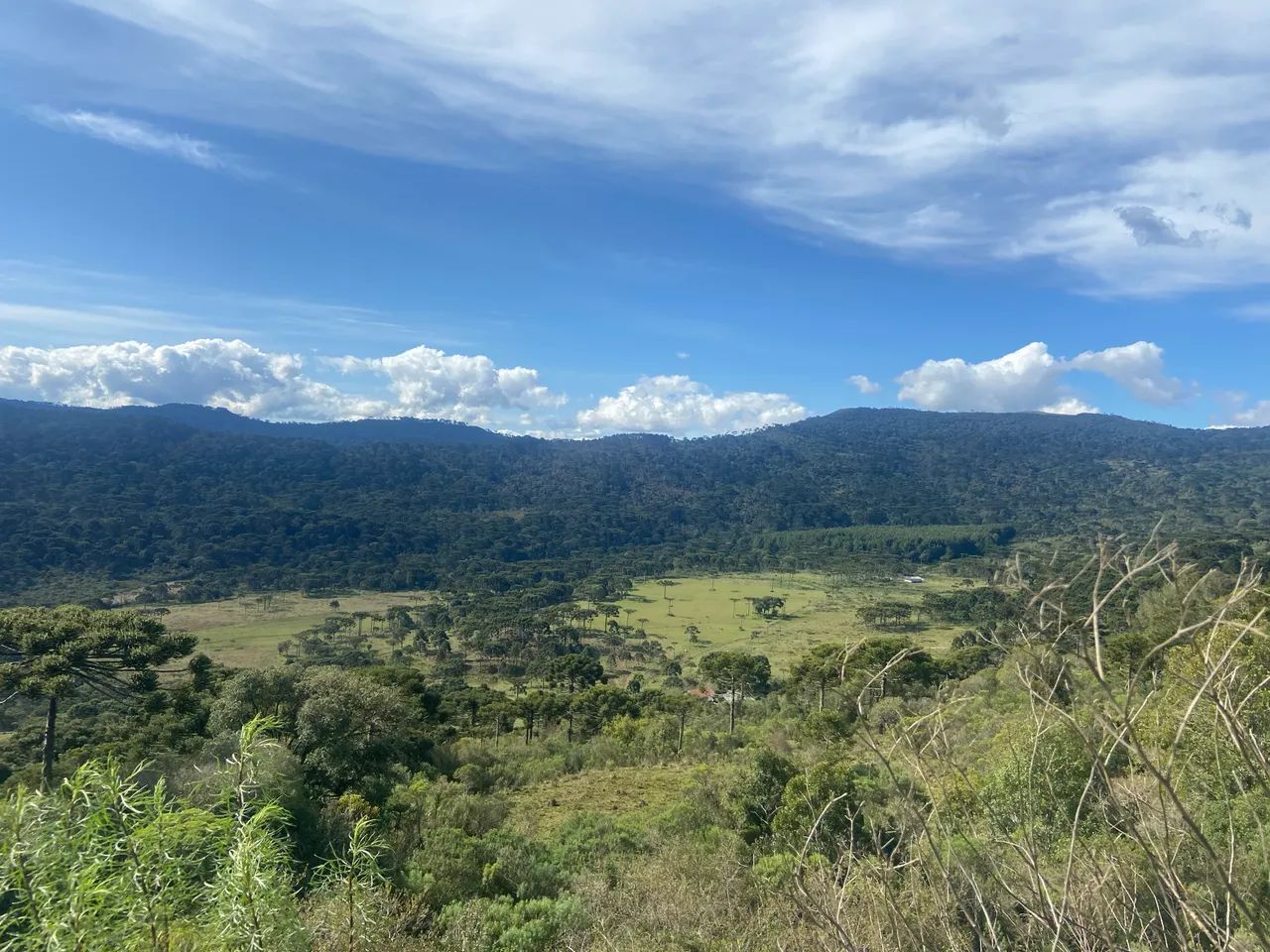 Fazenda em Urubici - 131 hectares  - Foto 13