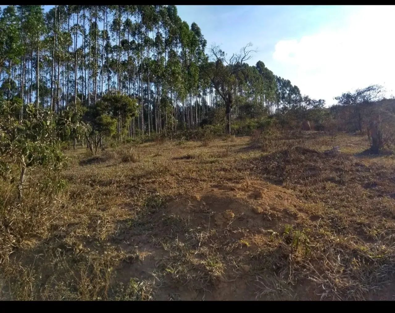 Terreno para chácara  - Foto 2