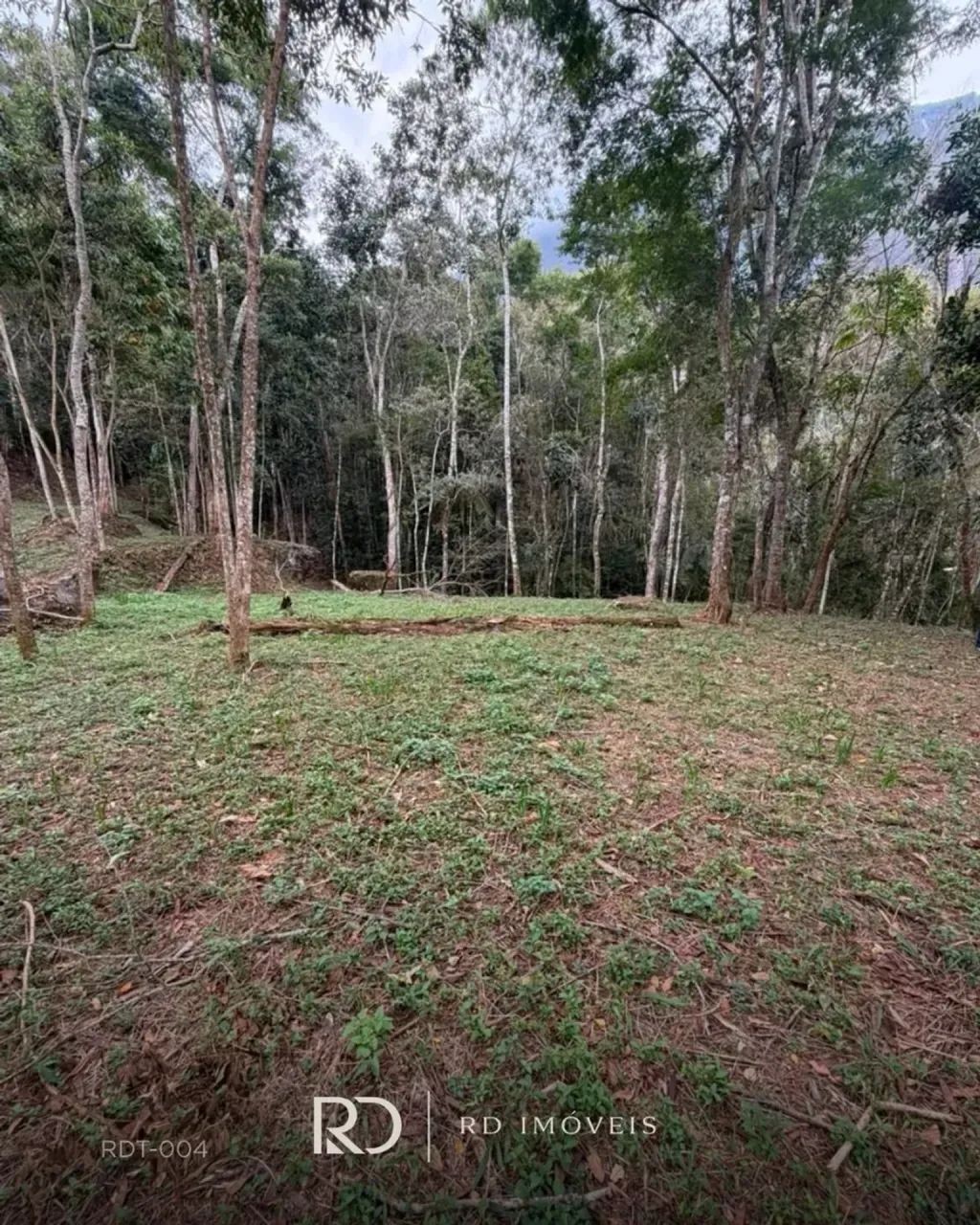 TERRENO EM ARARAS - PETRÓPOLIS - Foto 5