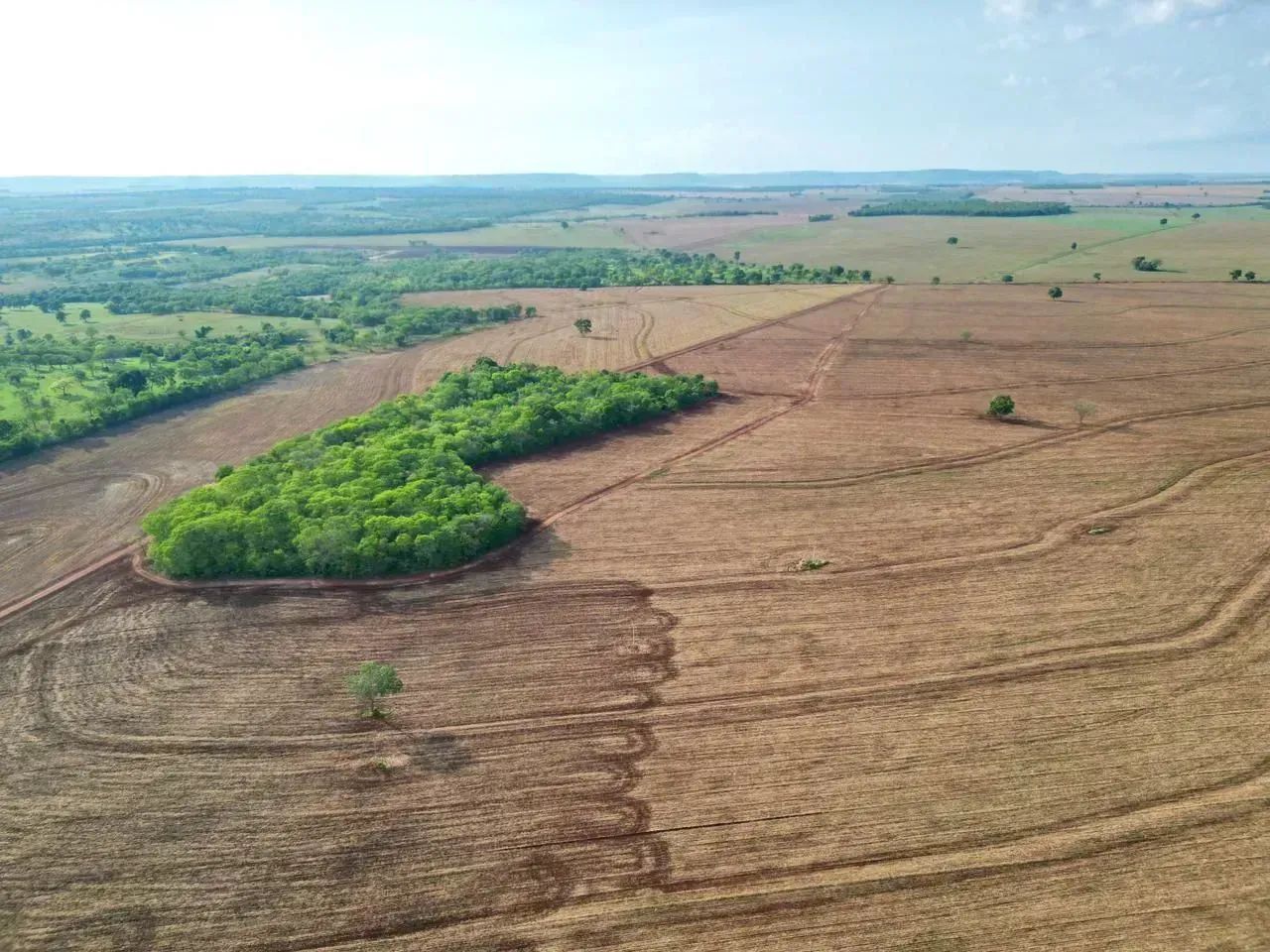 FAZENDA COM 230 HECTARES A VENDA EM ROCHEDO/MS - Foto 3