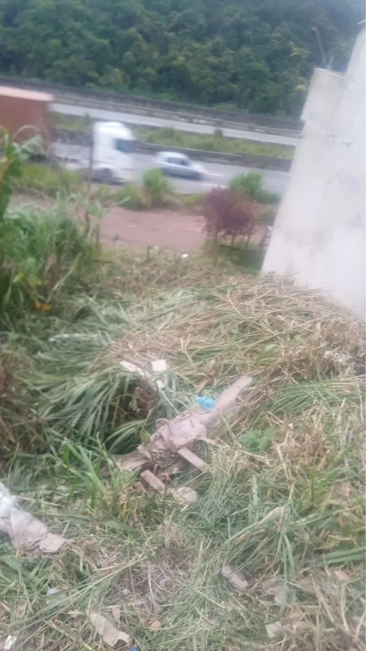 Terreno 40 mil - Foto 4