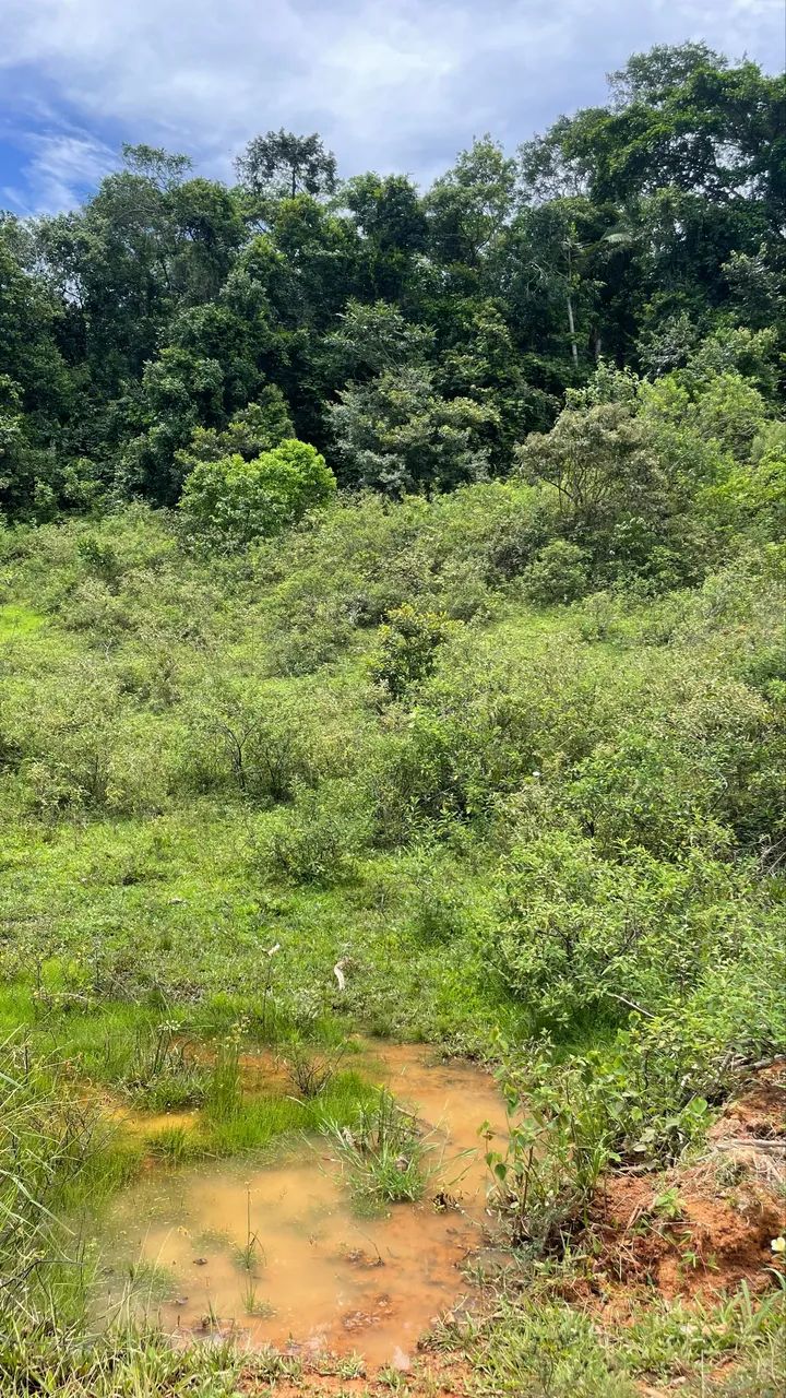 Lote com em Nova Guarapari  - Foto 5