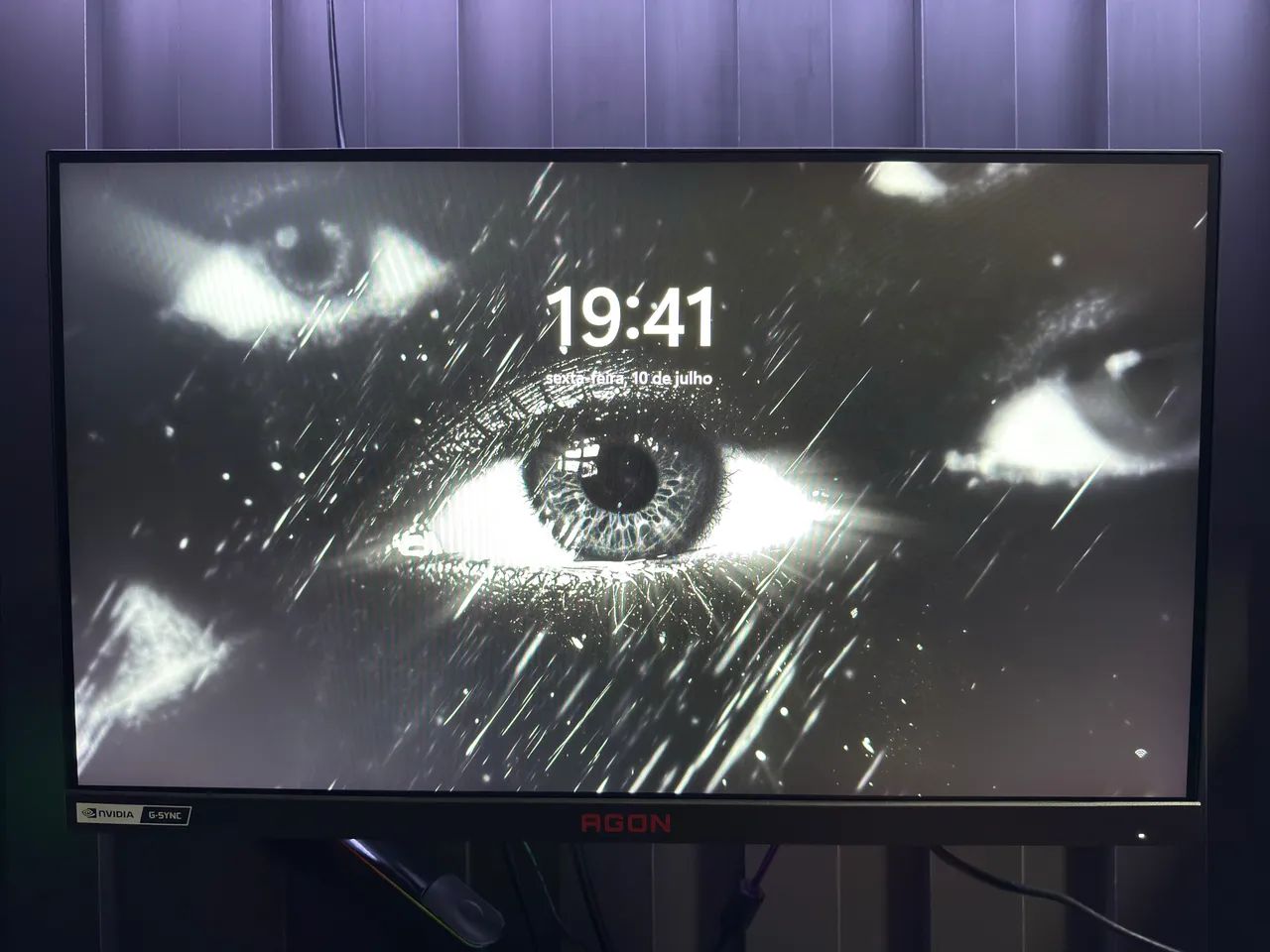 Monitor Agon ips 360hz 24.5?