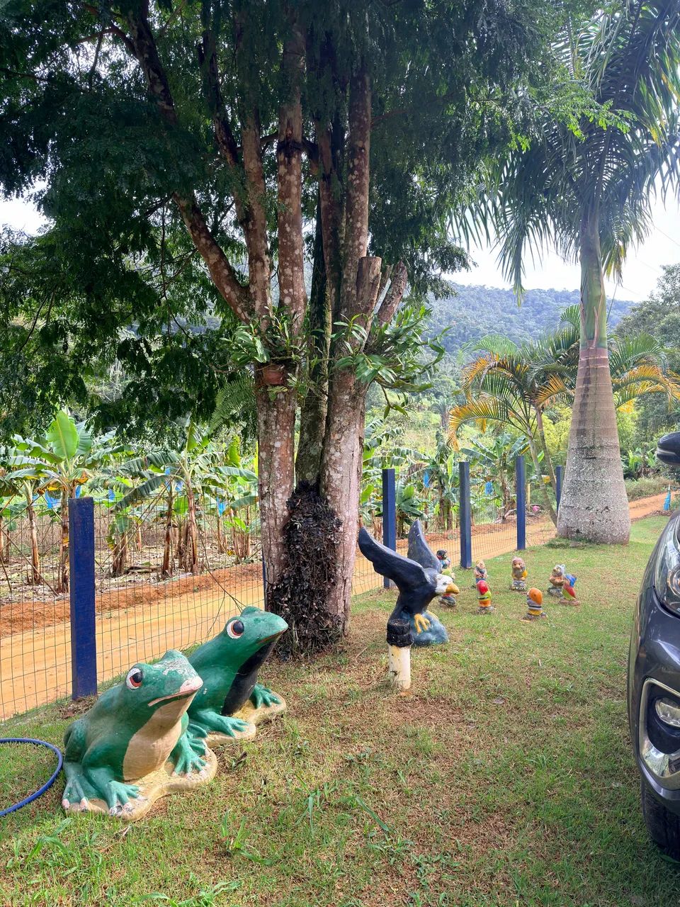 Sítio em Rio das Farinhas - Divisa com a Região do Galo - Foto 2