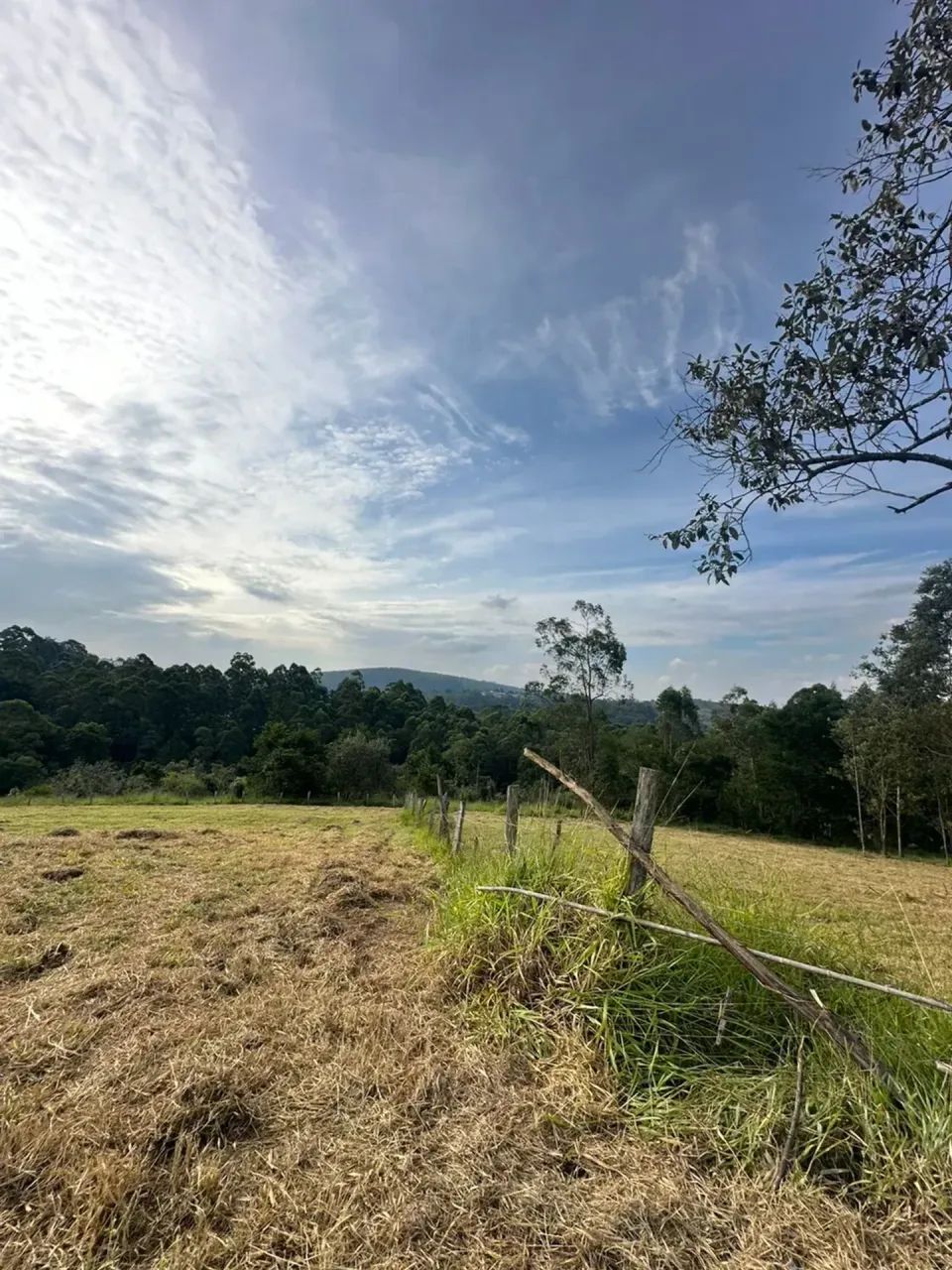 Terreno próximo a São Roque | Entrada + Parcelas - Foto 5