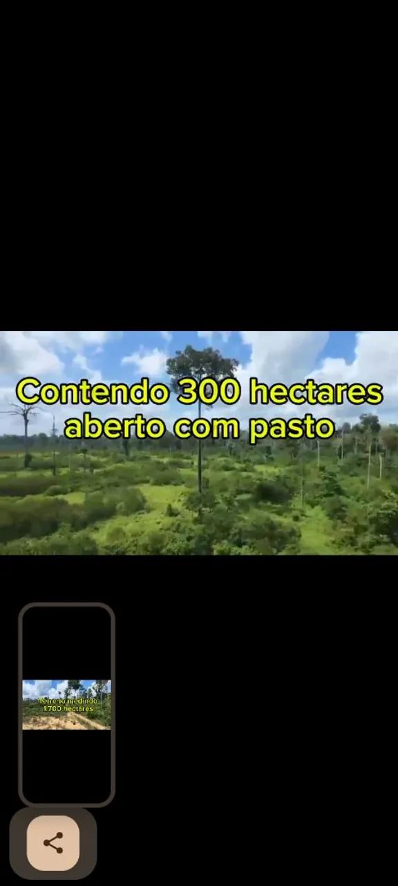 Terreno com 600 hectares de pasto 