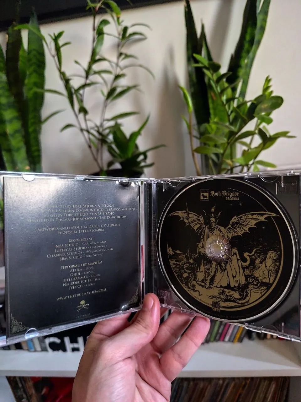 CD Mayhem - Daemon (2019) - Foto 5