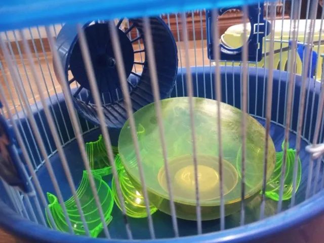 Gaiola de Hamster + Caixa de transporte e acessórios - Foto 5