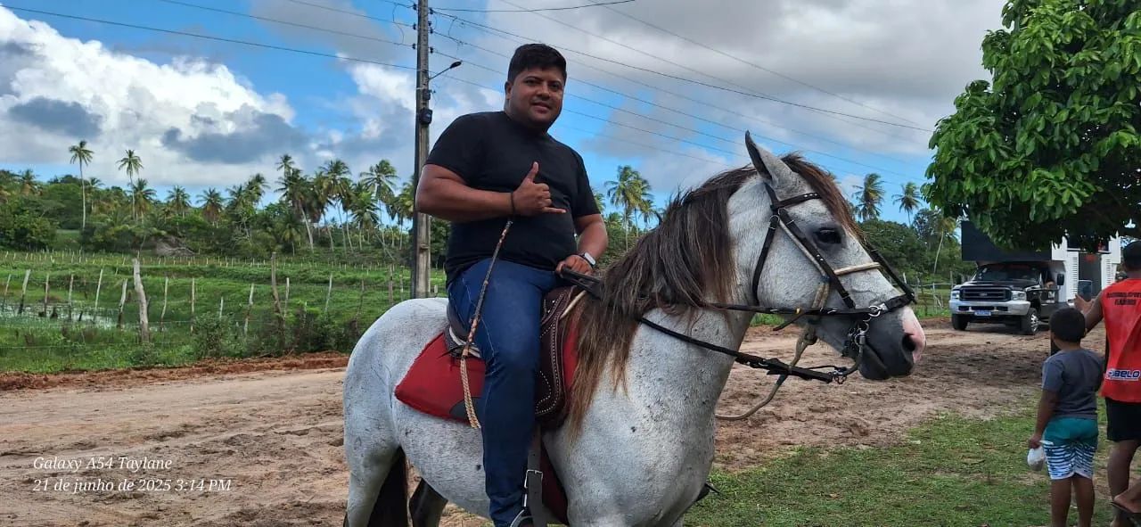 Cavalo segunda muda andando muito marcha de picado