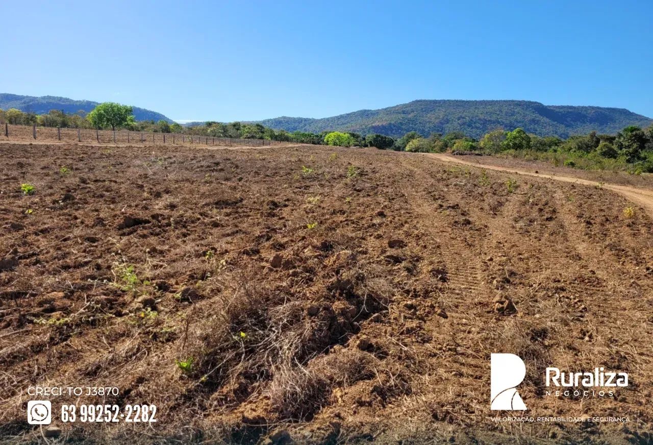 Fazenda a venda em Brejinho de Nazaré | Argilosa | Curral para 1.000 cabeças - Foto 3