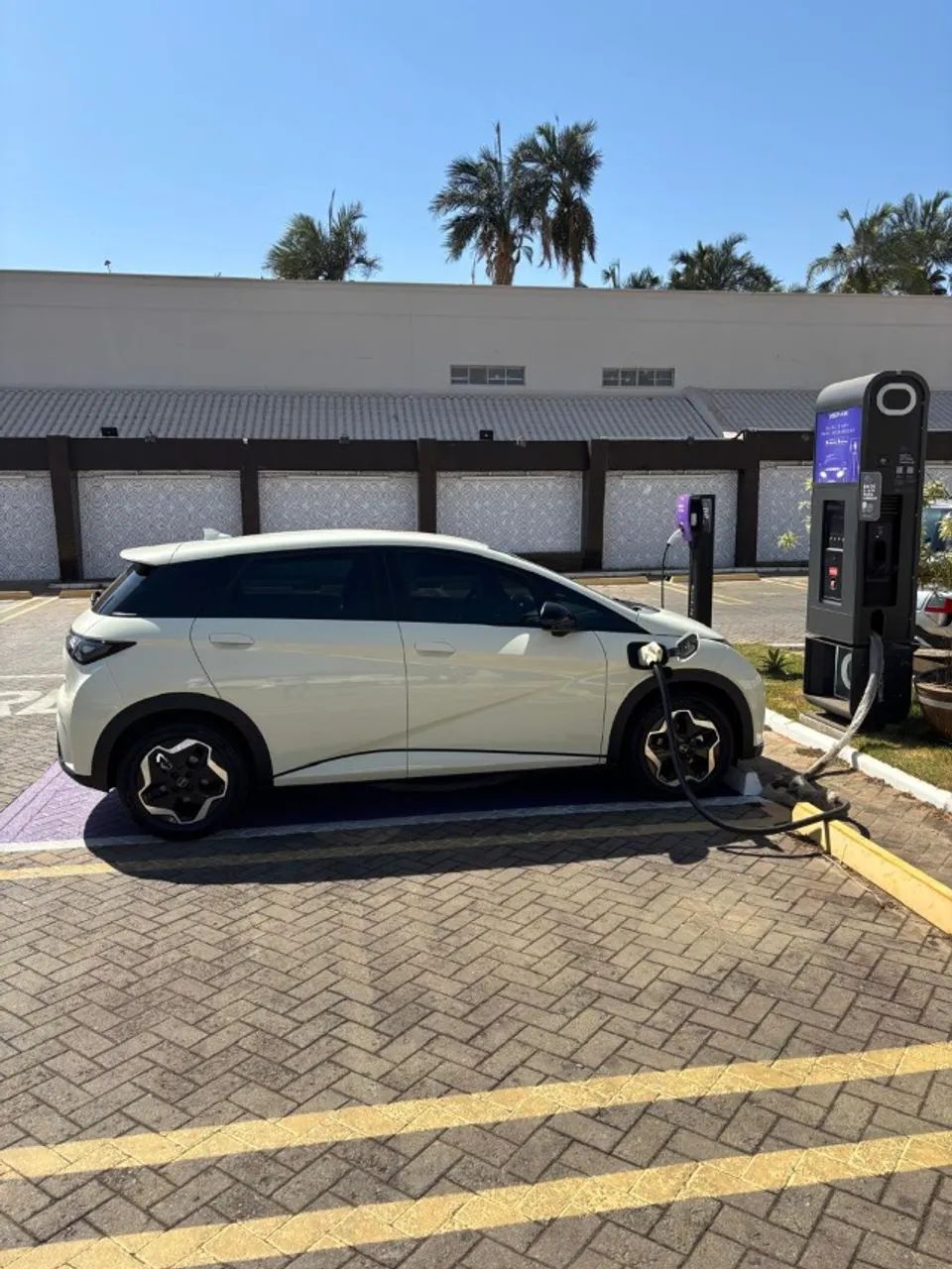 BYD Dolphin EV (Elétrico) 2026 - Foto 3