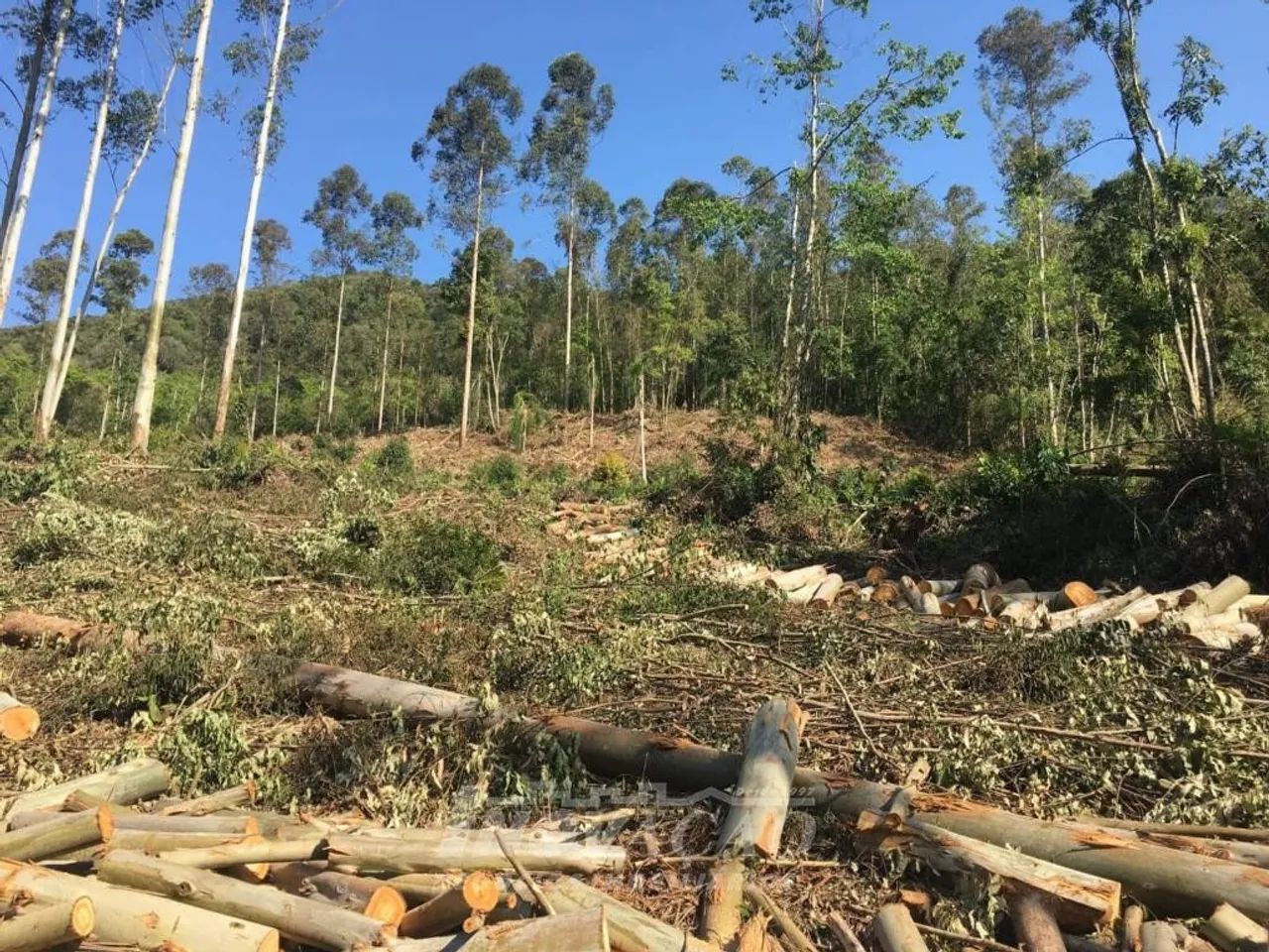 Chácara Vale do Rio Cai (Nova Petrópolis) Nova Petrópolis