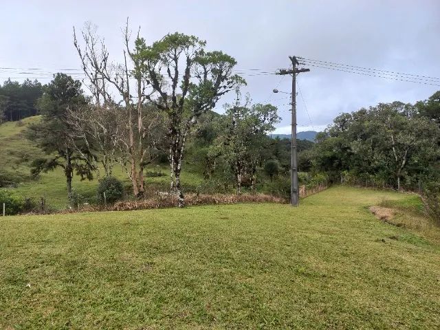 Chacara com 8.740m²  - Foto 5