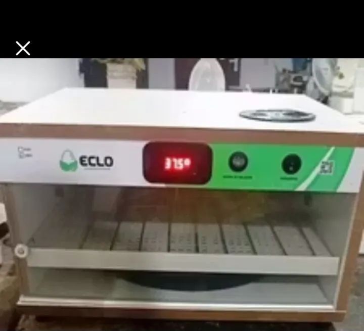 Chocadeira automática 70 ovos 