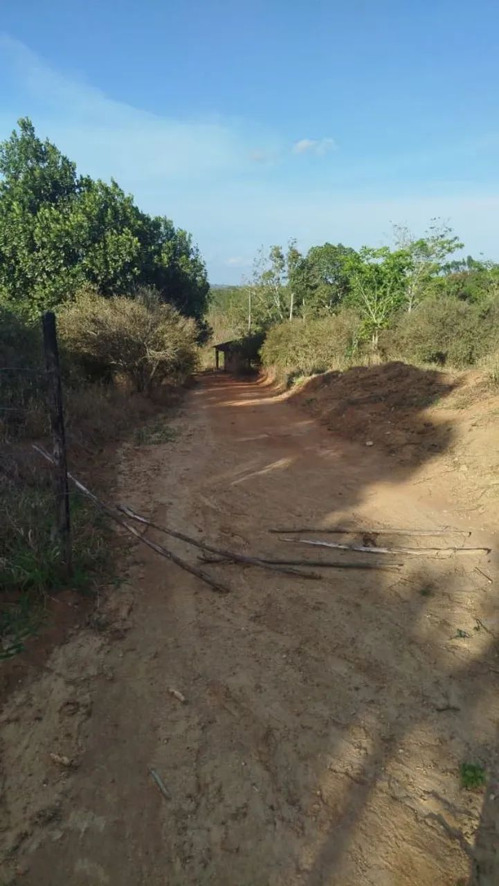 Venda e troca - Foto 3