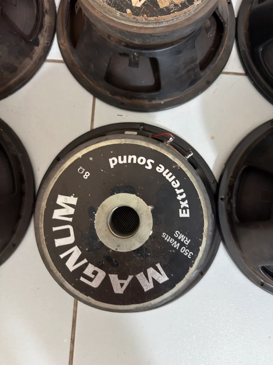 Alto falante 10 polegadas 350 rms Magnum 