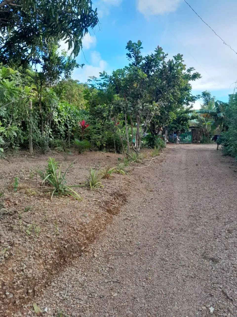 Foto - Brasília - Vila Planalto
