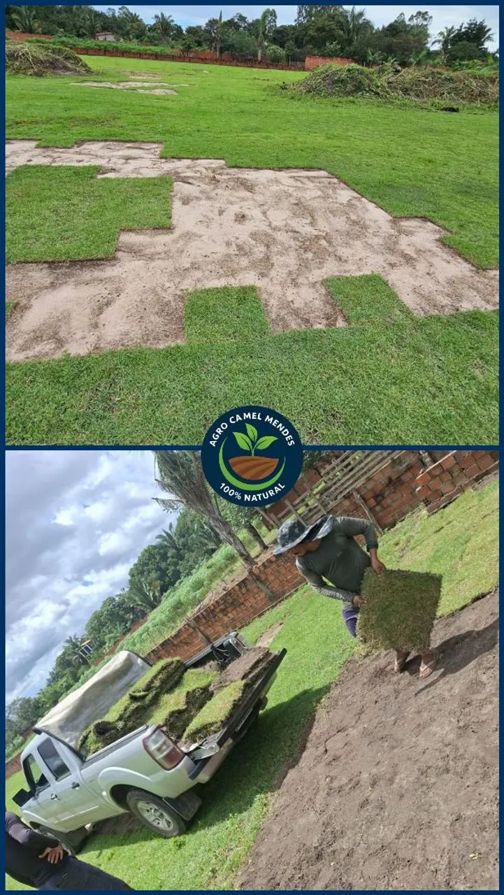 GRAMA ESMERALDA SAO LUIS / SÃO JOSÉ DE RIBAMAR - MA - Foto 5