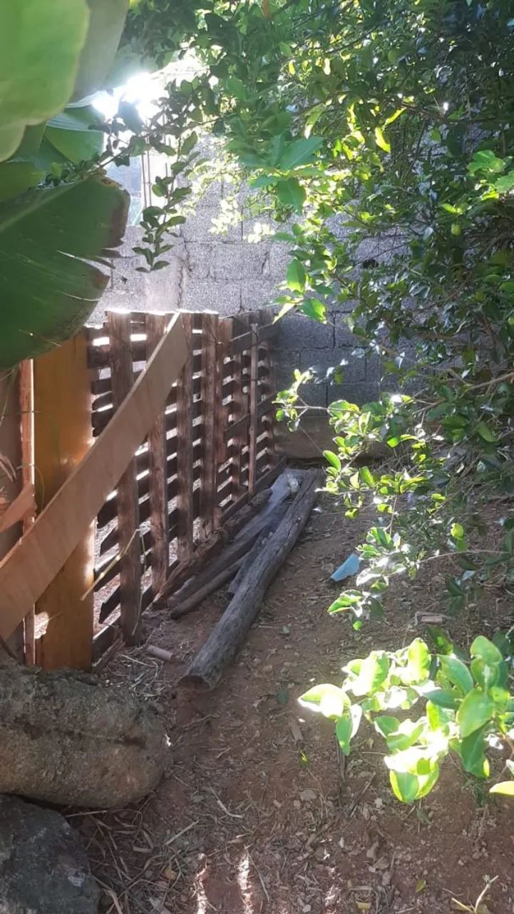 Casa independente com amplo terreno e árvores frutíferas - Foto 2