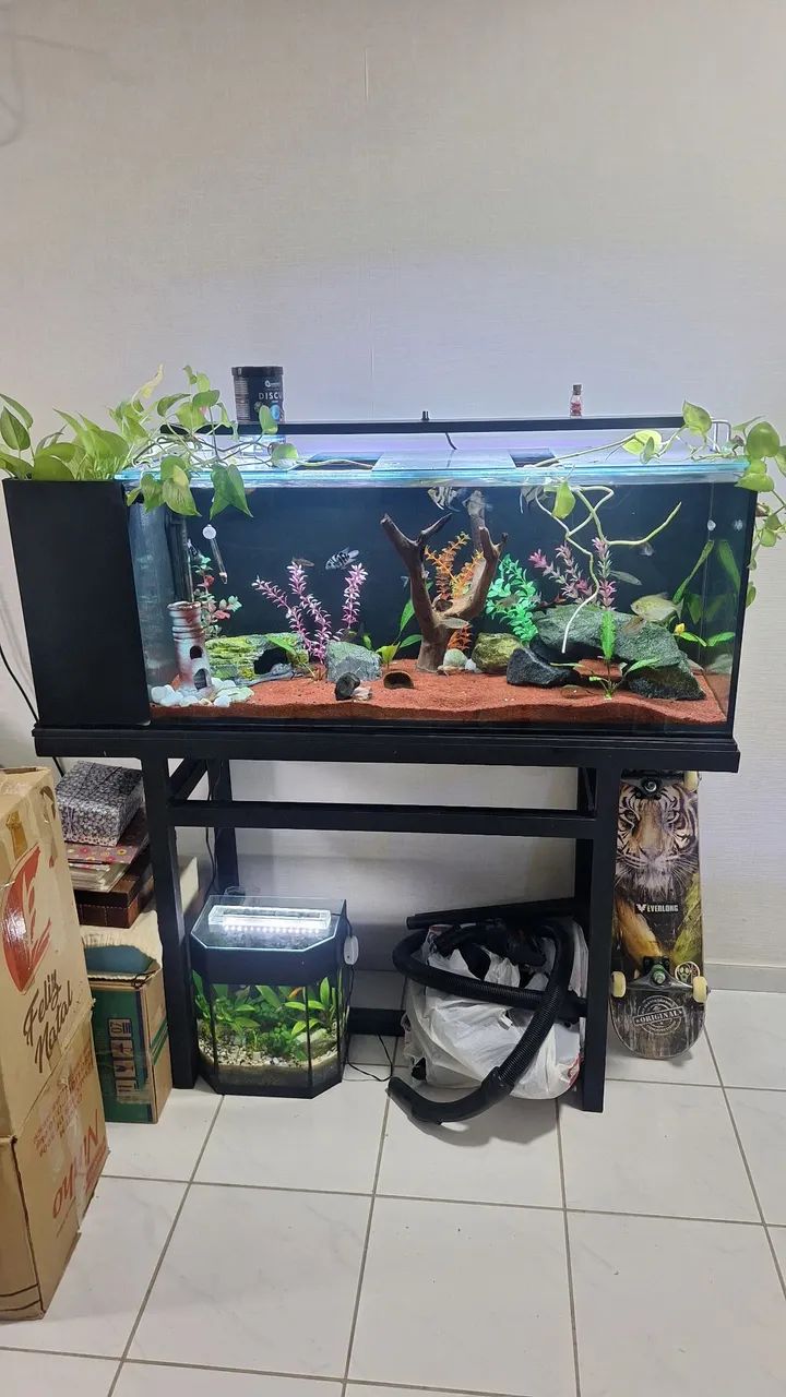 Aquario 200 litros - Foto 2