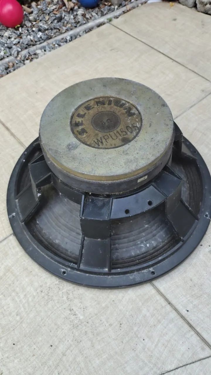 Auto Falante Selenium WPU 1505 Seminovo
