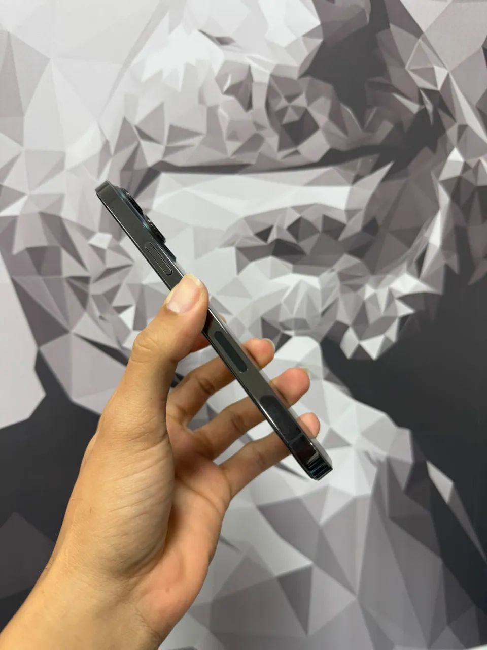iPhone 13 Pro Max  - Foto 3