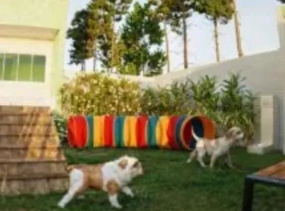 FORTE TAMARINEIRA - Foto 4