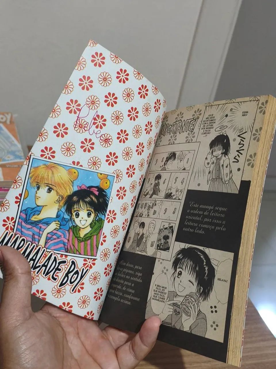 Marmalade Boy  - Foto 3