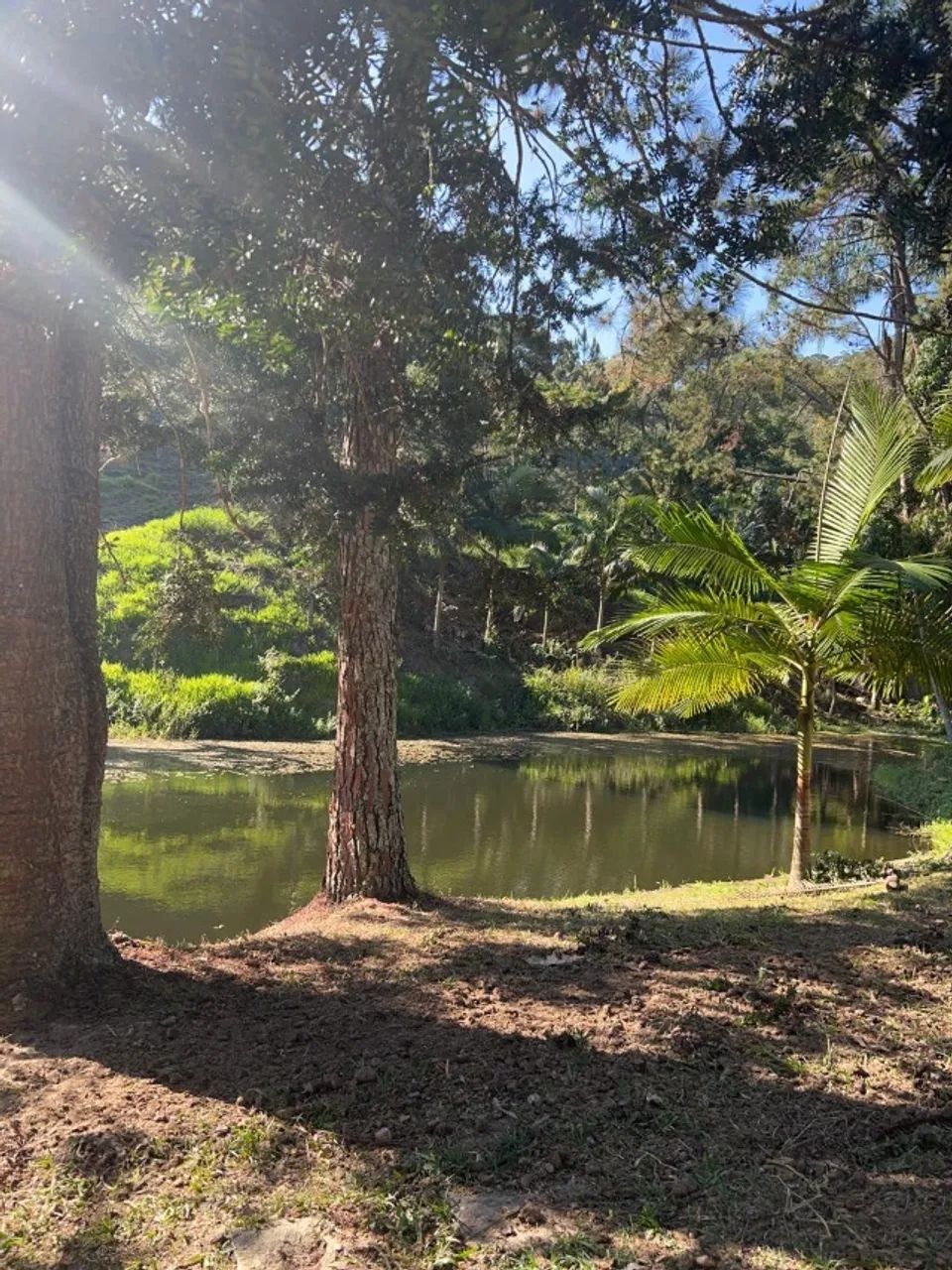 Vendo este ótimo sítio com quase 4 alqueires em 5 Lagos - Foto 5