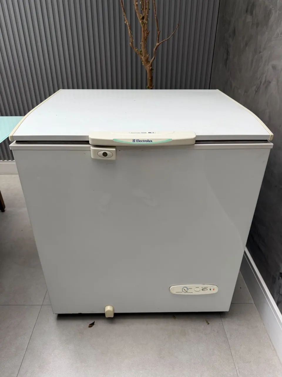 Freezer Electrolux H210 - Foto 5