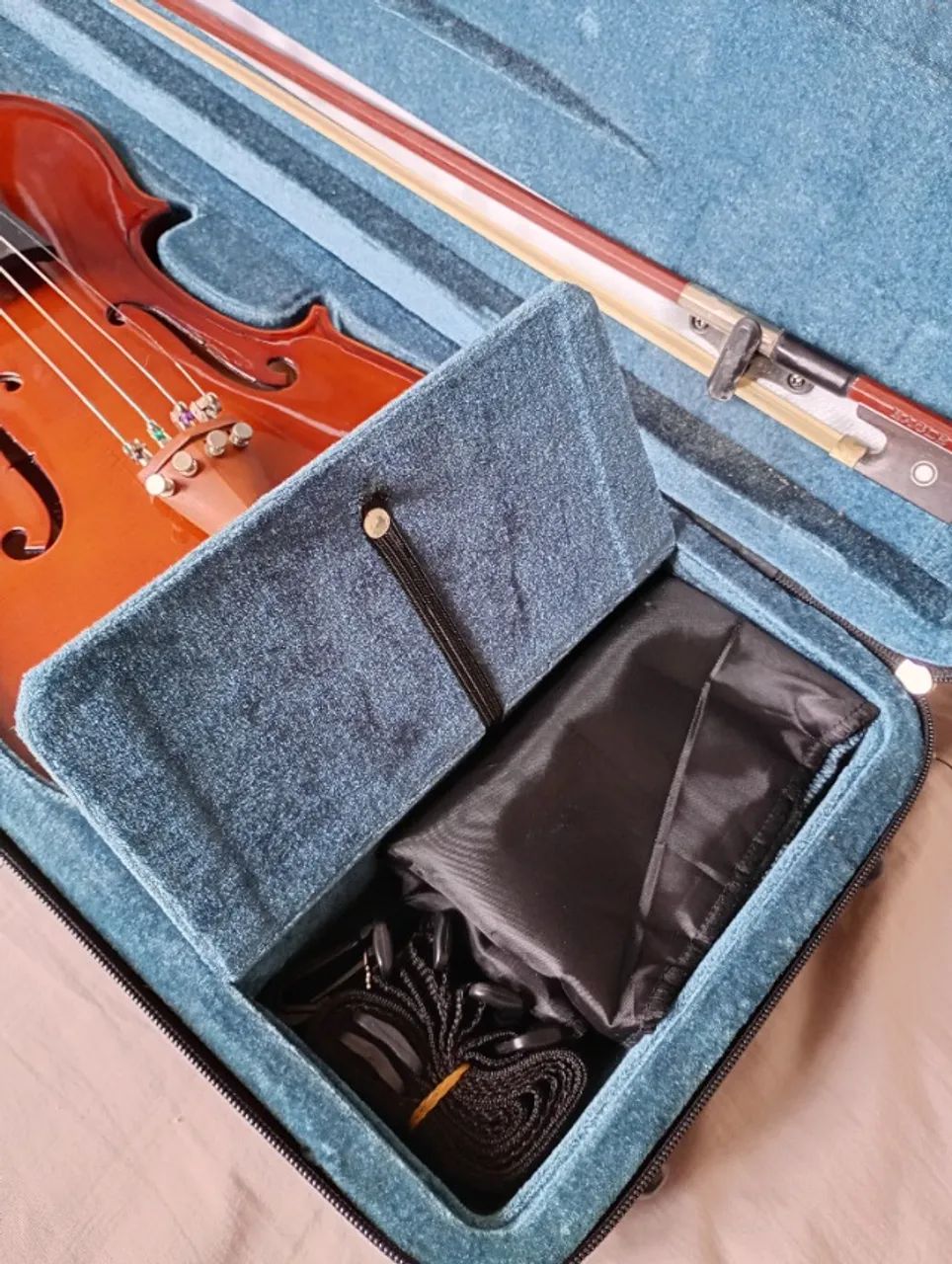 Violino Eagle VE441 4/4 - Foto 2