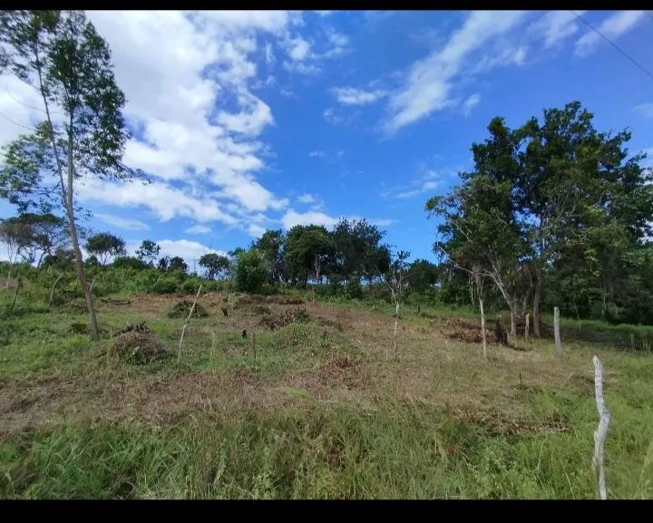 Terreno  - Foto 2