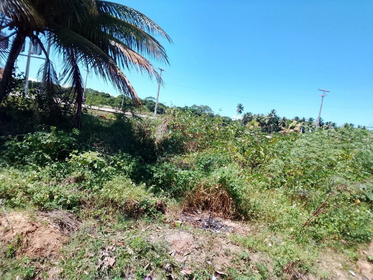 Terreno no abais - Foto 4