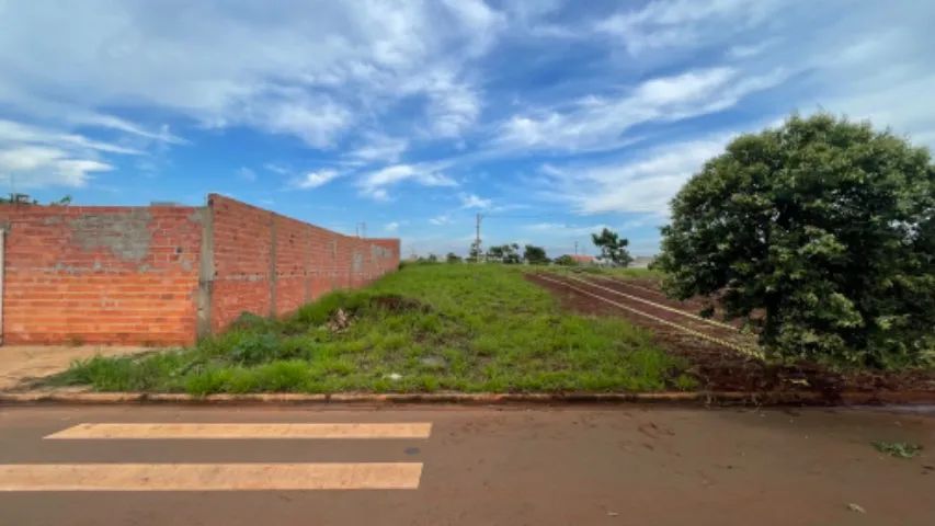Foto - Piracicaba - Garças