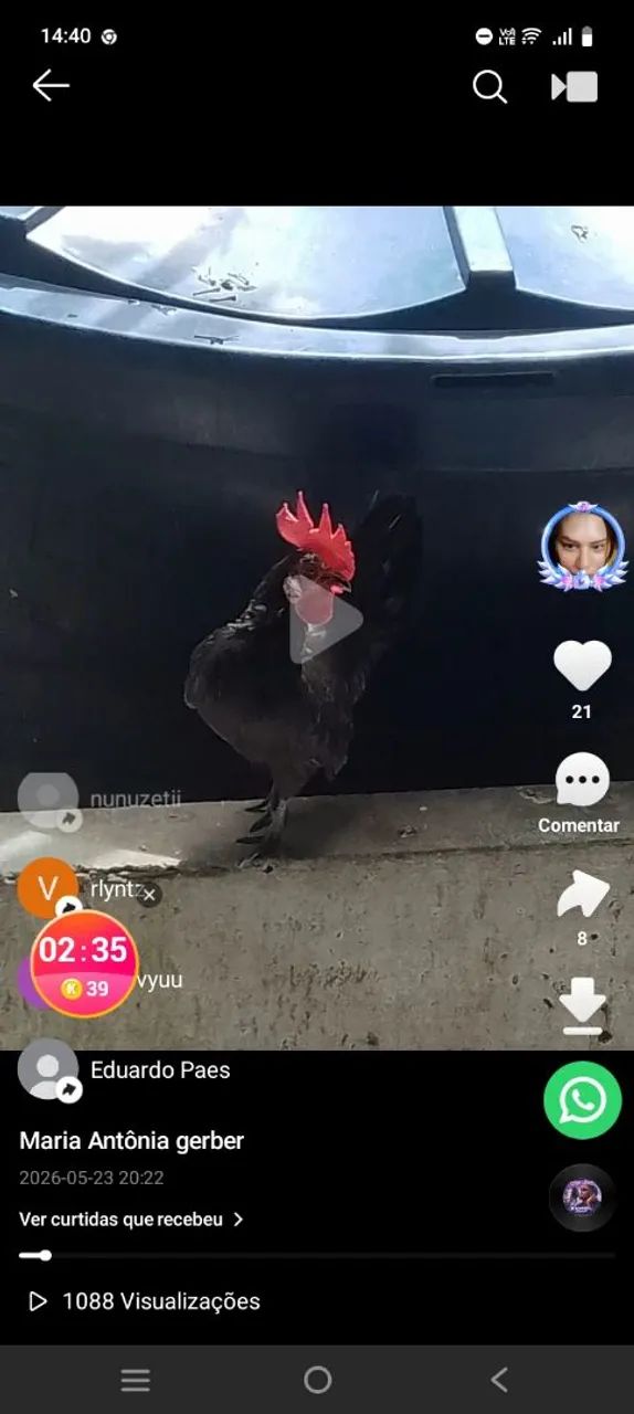 Vendo galos nagazak - Foto 2