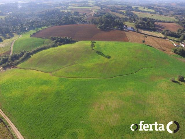 Chácara em Contenda - Foto 8