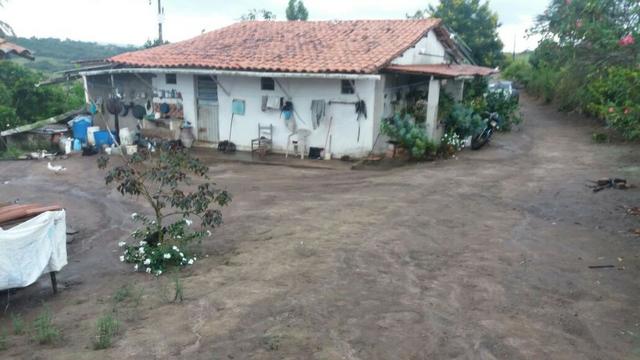 Propriedade com 2 casas de 13 hectares, em Sairé, 700 mil