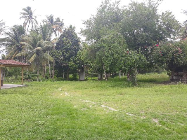 Oportunidade de Chácara, com 5,2 ha, há margem da RN 316, em Monte Alegre/RN - Foto 15