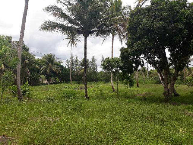 Oportunidade de Chácara, com 5,2 ha, há margem da RN 316, em Monte Alegre/RN - Foto 5