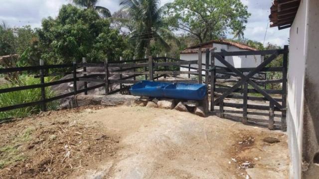 Sítio para venda em gravatá, nossa senhora das graças, 4 dormitórios, 2 suítes, 3 banheiro - Foto 10
