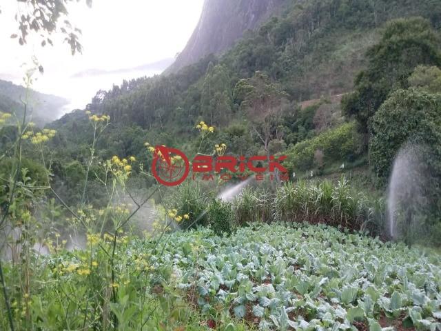 Sítio em teresópolis com cachoeira, nascente, terra para plantação e árvores frutíferas. - Foto 8